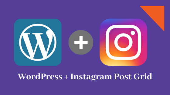 How to use SOcial Gallary Block In wordpress